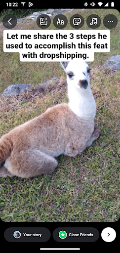 Instagram Story Ad 5