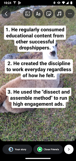 Instagram Story Ad 6