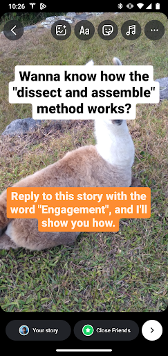 Instagram Story Ad 7